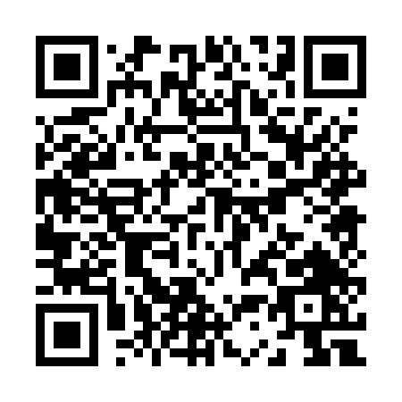 QR code for Z305T