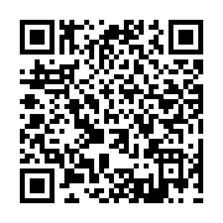 QR code for Z307V