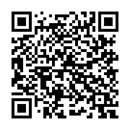 QR code for Z308ER
