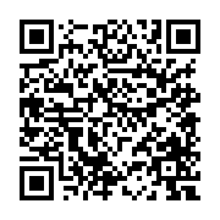 QR code for Z308H