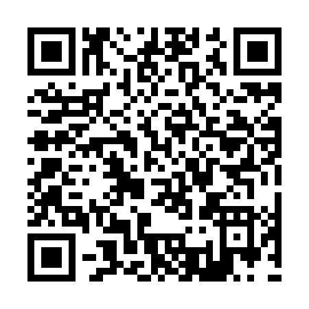 QR code for Z309L