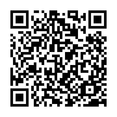 QR code for Z310ET