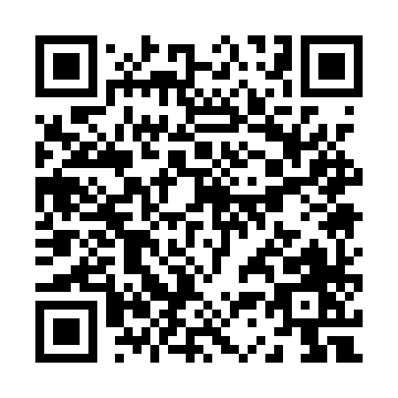 QR code for Z311X