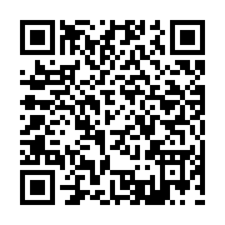 QR code for Z313E