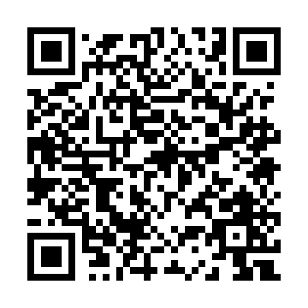 QR code for Z315E