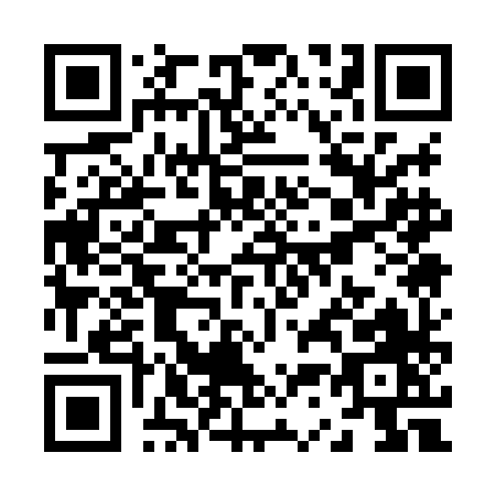 QR code for Z318H