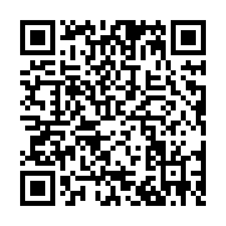 QR code for Z318T