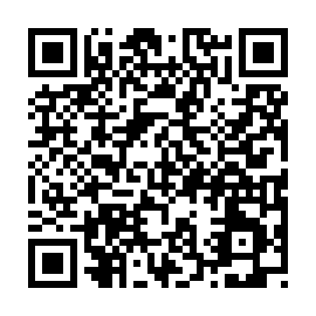 QR code for Z319N