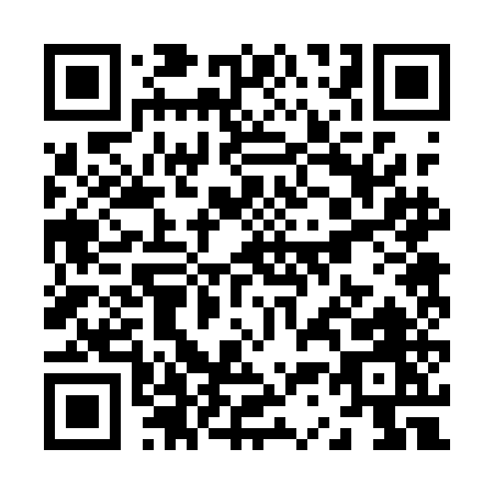 QR code for Z321E