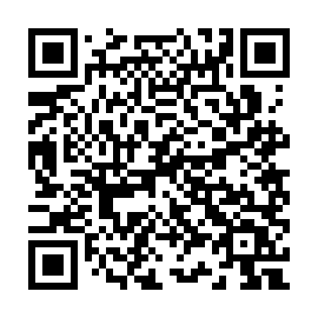 QR code for Z323LT