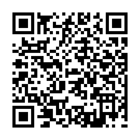 QR code for Z331R