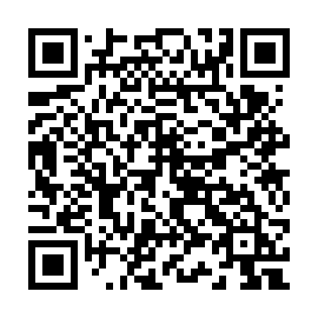 QR code for Z336RJ