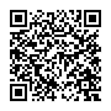 QR code for Z338P