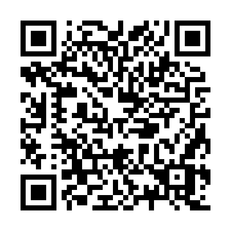 QR code for Z338WV