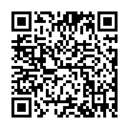 QR code for Z368H