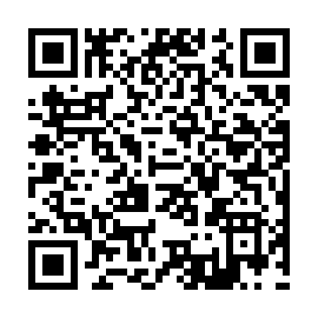 QR code for Z373J