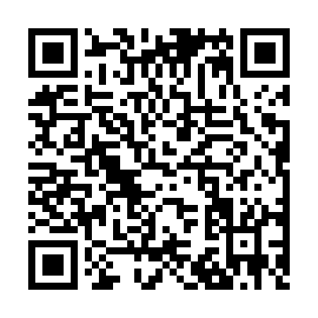 QR code for Z374Q