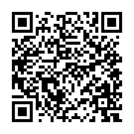 QR code for Z375Y