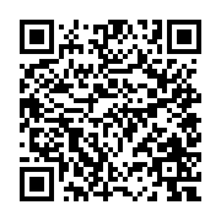 QR code for Z375Z