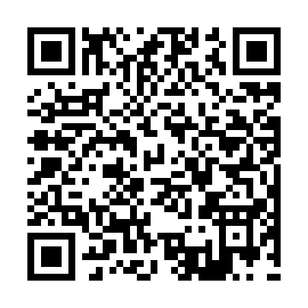 QR code for Z379Q