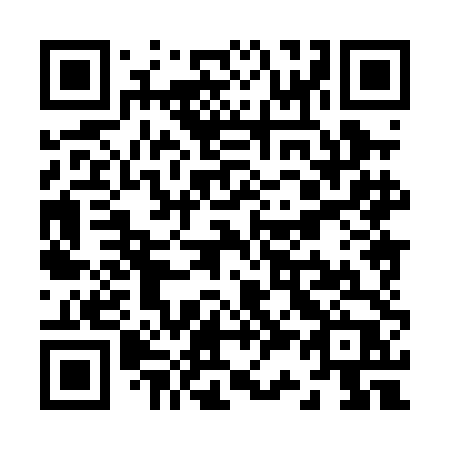 QR code for Z380DP