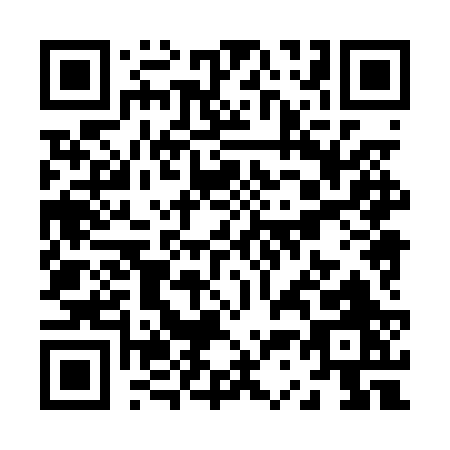 QR code for Z380R