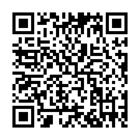 QR code for Z381N