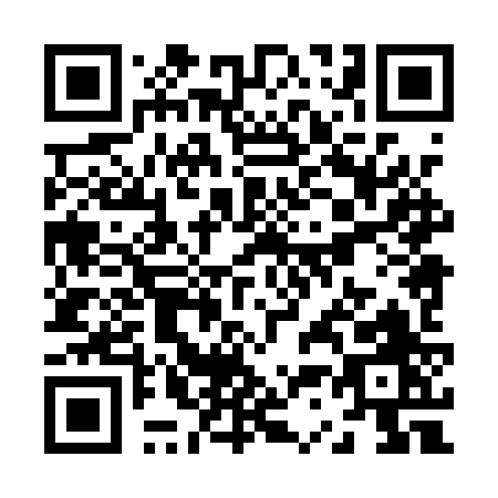 QR code for Z381Z