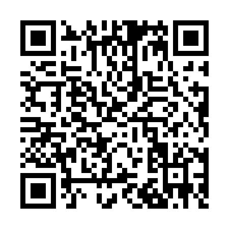 QR code for Z382H