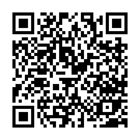 QR code for Z382O