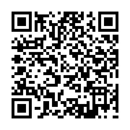 QR code for Z383B