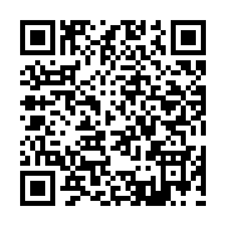 QR code for Z383C