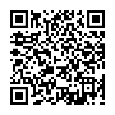 QR code for Z383N