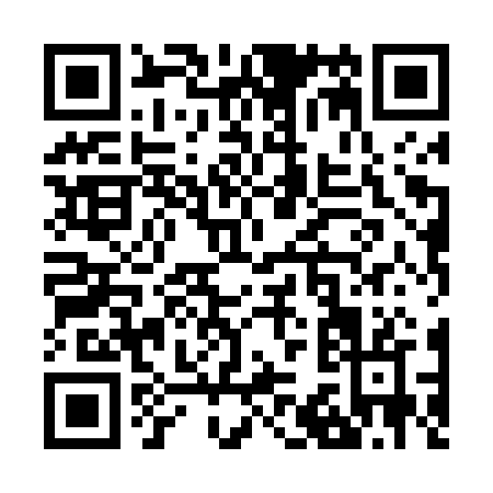 QR code for Z384R