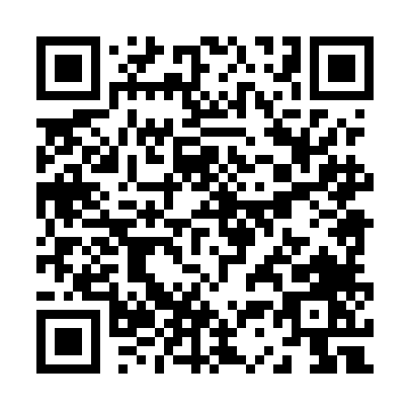 QR code for Z385L
