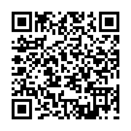 QR code for Z386M