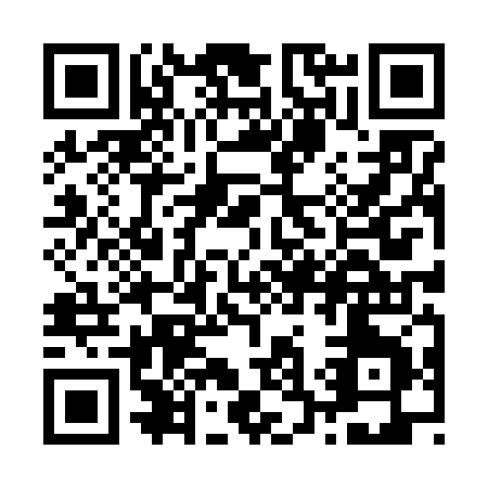 QR code for Z386Z