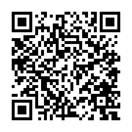 QR code for Z387N