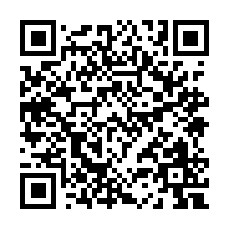QR code for Z391A