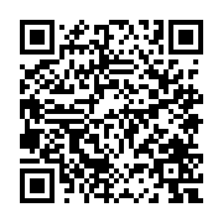QR code for Z391N
