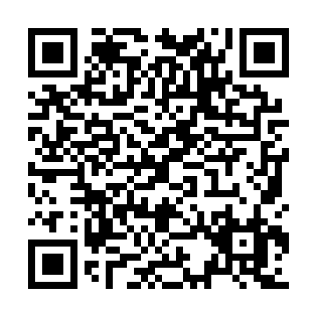 QR code for Z391R
