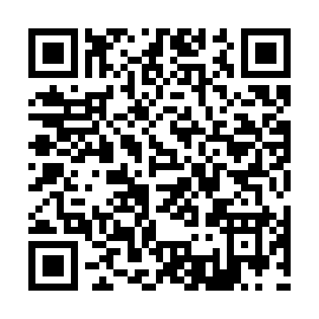 QR code for Z393Y