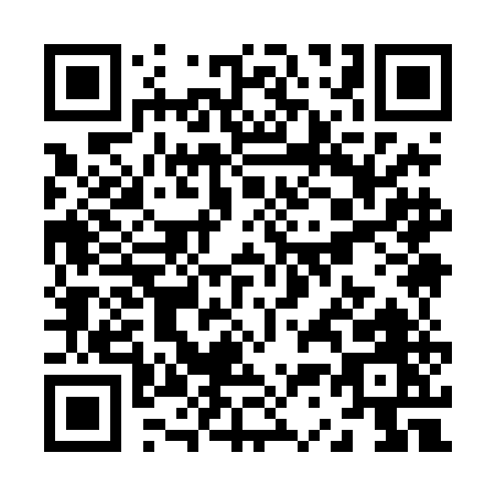 QR code for Z394E
