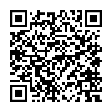QR code for Z395M