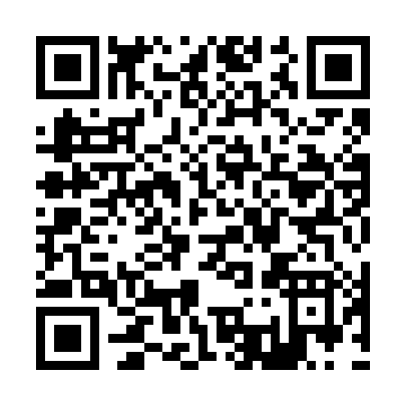 QR code for Z396H