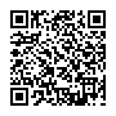 QR code for Z397O