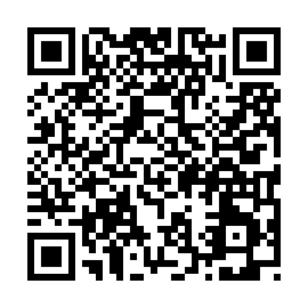 QR code for Z398N