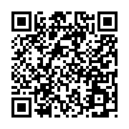 QR code for Z398P