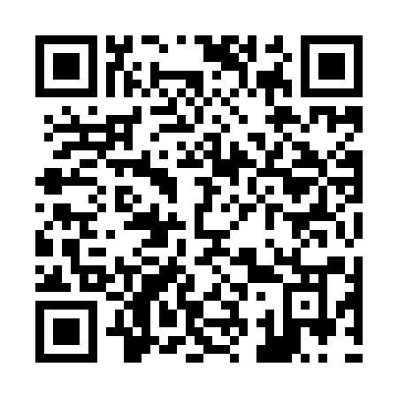 QR code for Z399AO