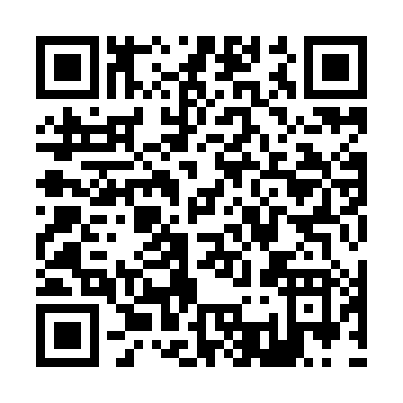 QR code for Z399H